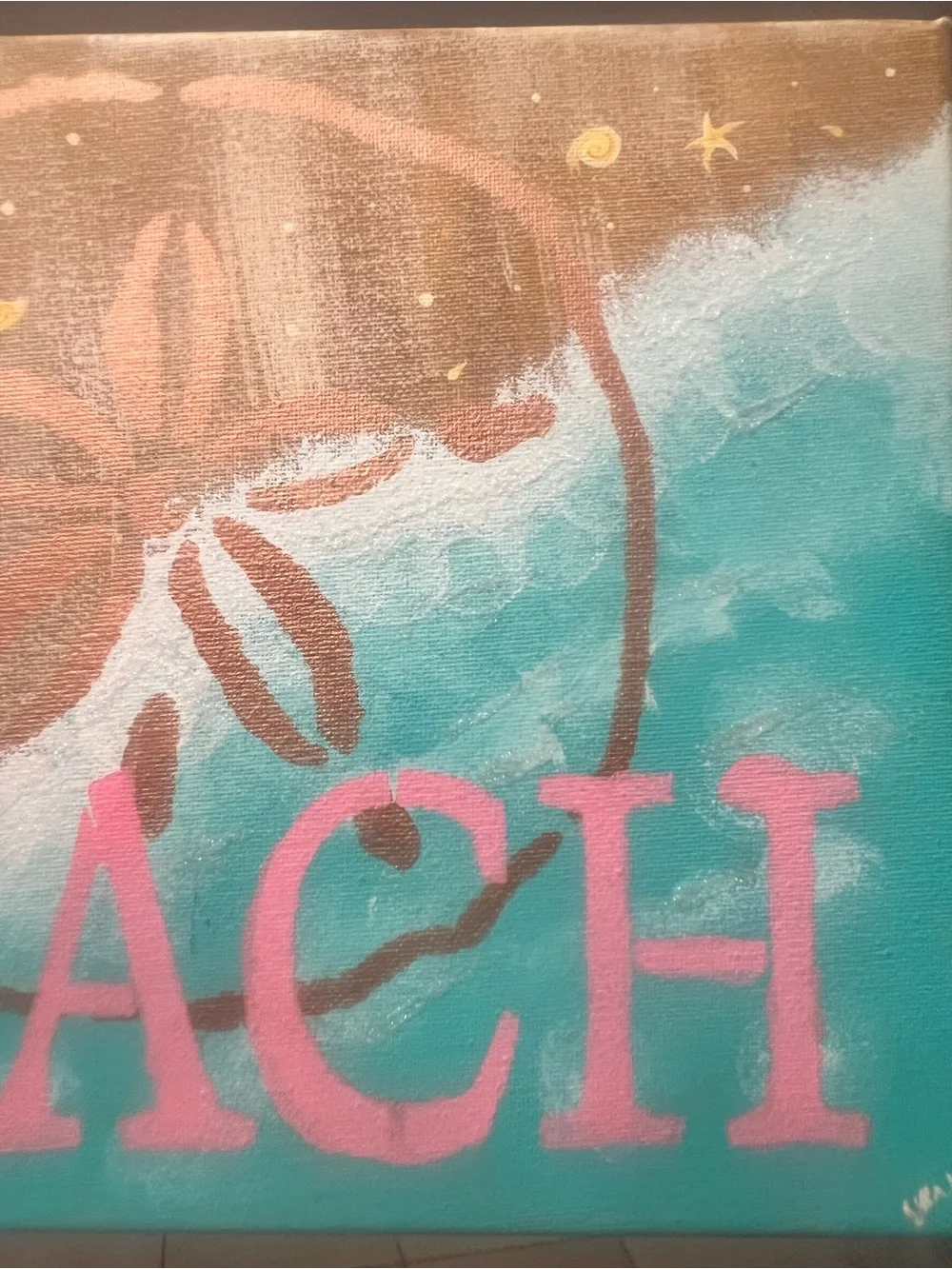 Hand Painted 12”x9” Beach Sand Dollar Wall Art Canvas in Pink and Teal